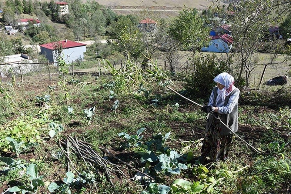 Eğriçimen ve Perşembe Yaylası: Doğanın Güzellikleri ve Yerel Hayat