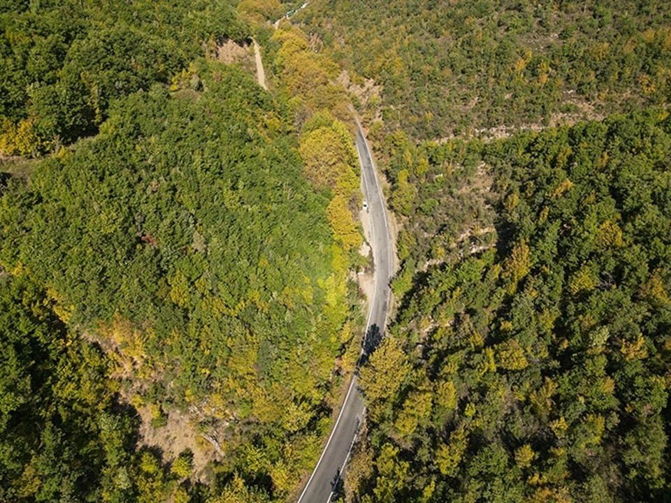 Sonbaharın Büyüsü: Tekirdağ Ormanlarının Güzellikleri