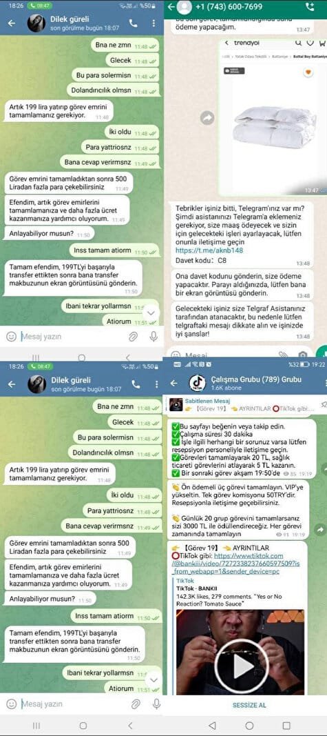 Dolandırıcılık Çetesi Whatsapp Mesajlarıyla 260 Bin Lira Çaldı